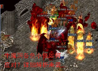 ţħ����ɫС�����Ӧ�ԣ���ϸ������Ϯ