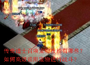 传奇道士召唤宠物技能有哪些?如何高效运用宠物进行战斗? 传奇道士召唤宠物技能有哪些?如何高效运用宠物进行战斗?