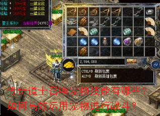 传奇道士召唤宠物技能有哪些?如何高效运用宠物进行战斗? 传奇道士召唤宠物技能有哪些?如何高效运用宠物进行战斗?