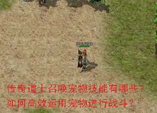 传奇道士召唤宠物技能有哪些?如何高效运用宠物进行战斗? 传奇道士召唤宠物技能有哪些?如何高效运用宠物进行战斗?