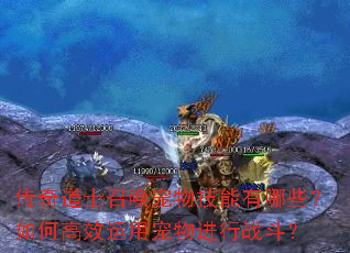 传奇道士召唤宠物技能有哪些?如何高效运用宠物进行战斗? 传奇道士召唤宠物技能有哪些?如何高效运用宠物进行战斗?