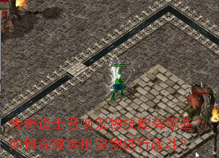 传奇道士召唤宠物技能有哪些?如何高效运用宠物进行战斗? 传奇道士召唤宠物技能有哪些?如何高效运用宠物进行战斗?