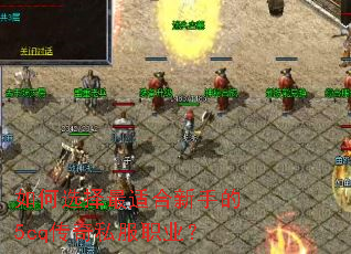���ѡ�����ʺ����ֵ�5cq����˽��ְҵ��