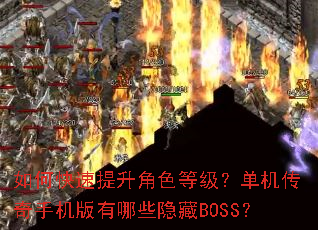 ��ο���������ɫ�ȼ������������ֻ�������Щ����BOSS��