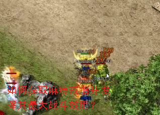如何获取麻痹戒指并发挥其最大战斗效用? 如何获取麻痹戒指并发挥其最大战斗效用?