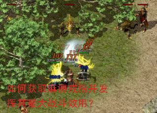 如何获取麻痹戒指并发挥其最大战斗效用? 如何获取麻痹戒指并发挥其最大战斗效用?
