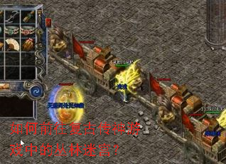 ���ǰ�����Ŵ�����Ϸ�еĴ����Թ���