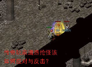 ��������������ָ����Ӧ���뷴����