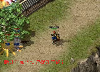 新开区如何快速提升等级? 新开区如何快速提升等级?