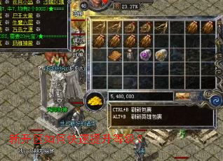 新开区如何快速提升等级? 新开区如何快速提升等级?