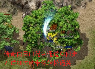 �������������ͨ������ߣ���ϸ���Դ�������ͨ��