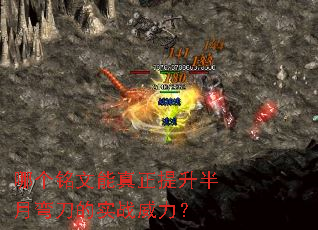�ĸ��������������������䵶��ʵս������