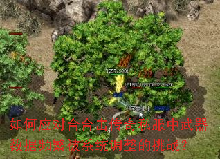 如何应对合合击传奇私服中武器数据频繁被系统调整的挑战? 如何应对合合击传奇私服中武器数据频繁被系统调整的挑战?