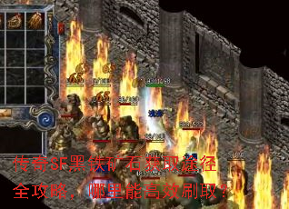 ����SF������ʯ��ȡ;��ȫ���ԣ������ܸ�Чˢȡ��