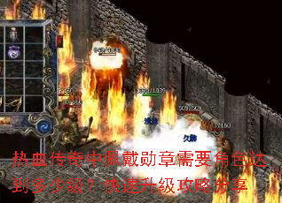 ��Ѫ���������ѫ����Ҫ��ɫ�ﵽ���ټ��������������Է���