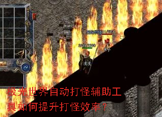 ���������Զ���ָ�����������������Ч�ʣ�