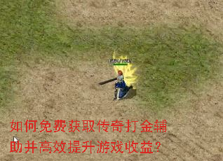 �����ѻ�ȡ������������Ч������Ϸ���棿