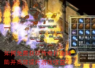 �����ѻ�ȡ������������Ч������Ϸ���棿