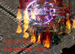 �������α�̬�汾��ְҵ��ο�������ս����