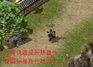 如何快速提升热血传奇国际服角色战力? 如何快速提升热血传奇国际服角色战力?