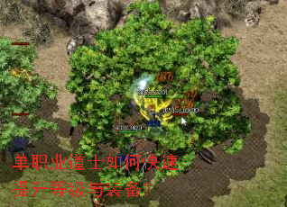 单职业道士如何快速提升等级与装备? 单职业道士如何快速提升等级与装备?