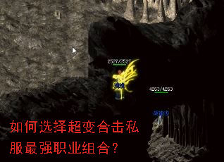 ���ѡ�񳬱�ϻ�˽����ǿְҵ��ϣ�