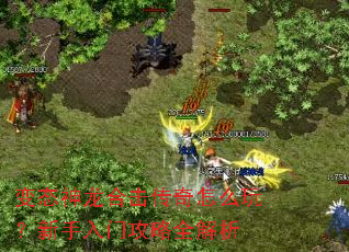 ��̬�����ϻ�������ô�棿�������Ź���ȫ����