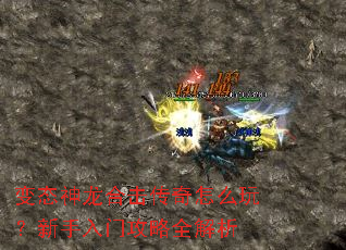 ��̬�����ϻ�������ô�棿�������Ź���ȫ����