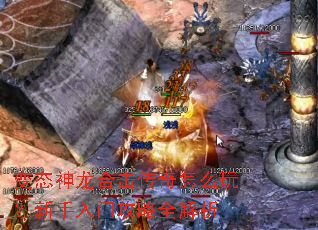 ��̬�����ϻ�������ô�棿�������Ź���ȫ����