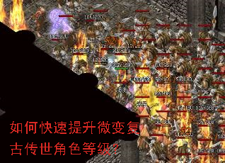 ��ο�������΢�临�Ŵ�����ɫ�ȼ���