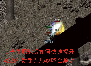 ���浥ְҵ����ο�������ս�������ֿ��ֹ���ȫ����