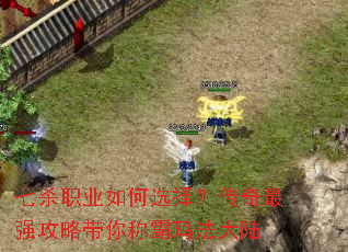 ��ɱְҵ���ѡ�񣿴�����ǿ���Դ���ư��귨��½