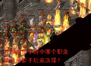 ��ԯ�����������ĸ�ְҵ���ʺ��������ѡ��